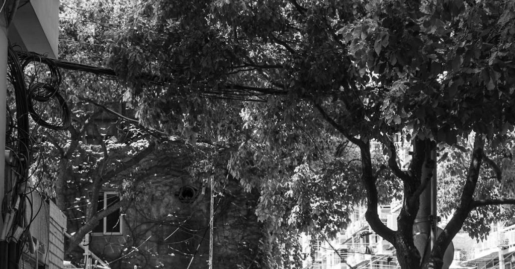 Smoke Alarm Certificate Adare