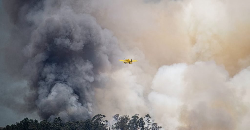 Smoke Alarm Certificate Anthony