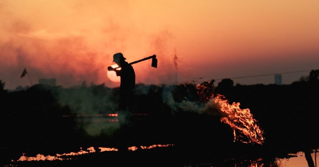 Smoke Alarm Certificate Arana Hills