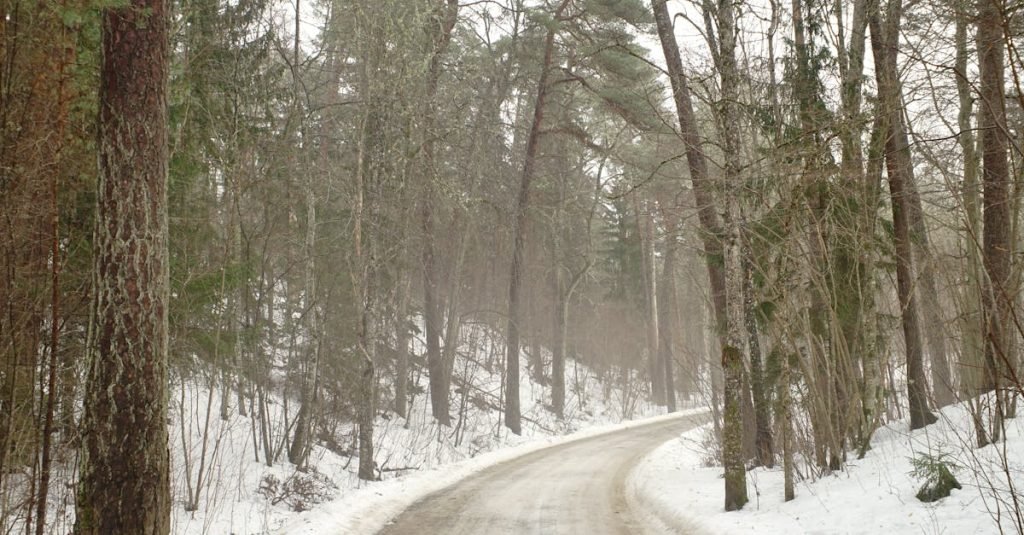 Smoke Alarm Certificate Caloundra