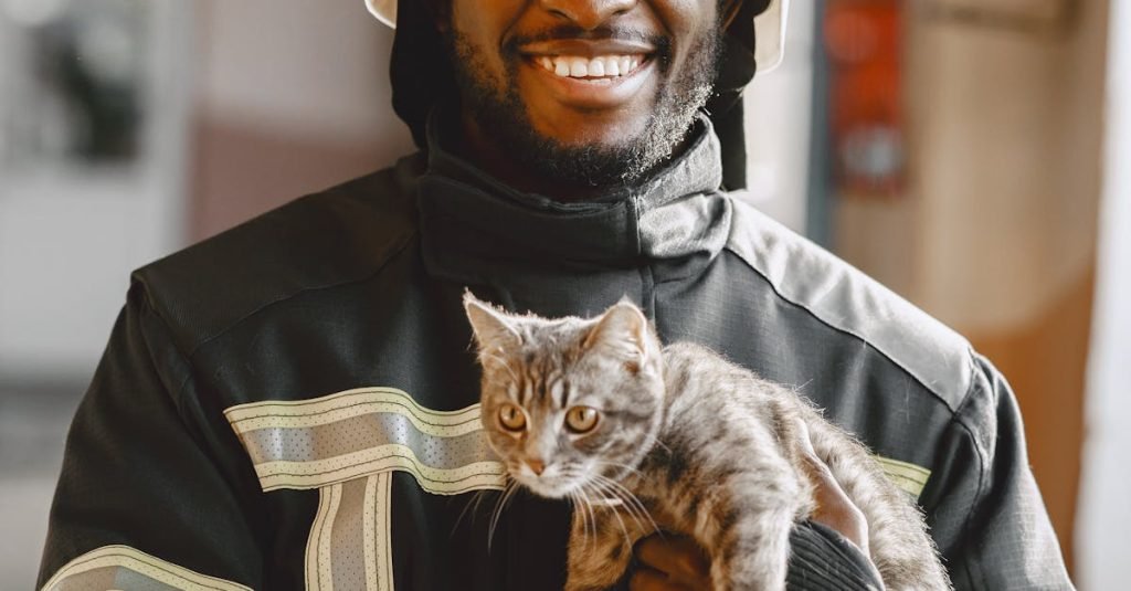 Smoke Alarm Certificate Ebenezer