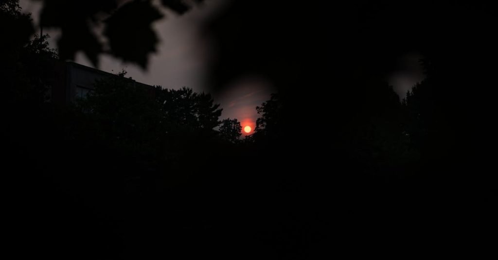 Smoke Alarm Certificate Frenches Creek