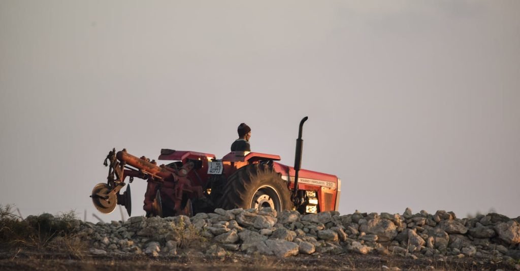 Smoke Alarm Certificate Greenbank
