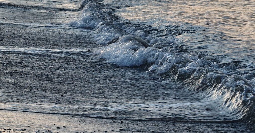 Smoke Alarm Certificate Lamb Island