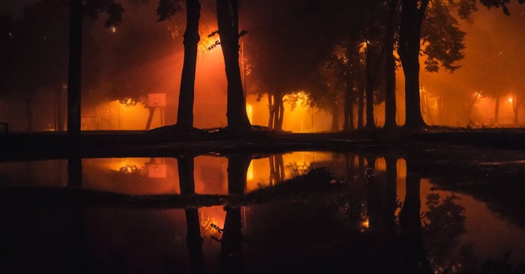 Smoke Alarm Certificate Macleay Island