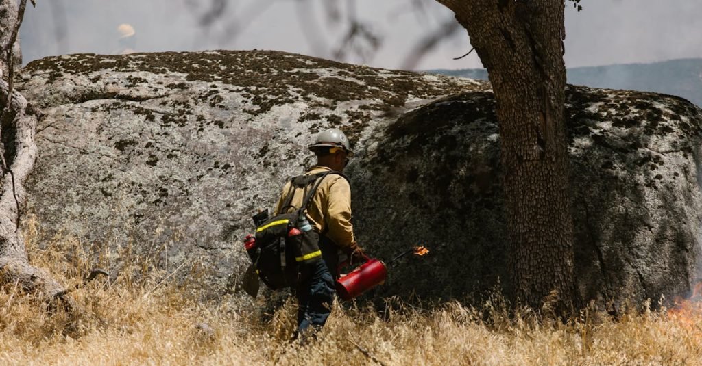 Smoke Alarm Certificate Mount Crosby