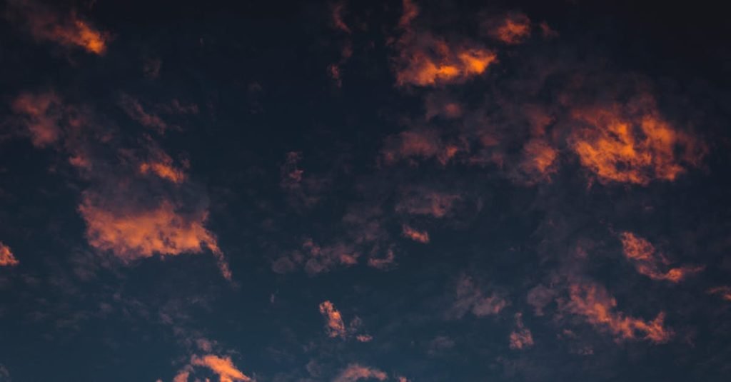 Smoke Alarm Certificate Newstead