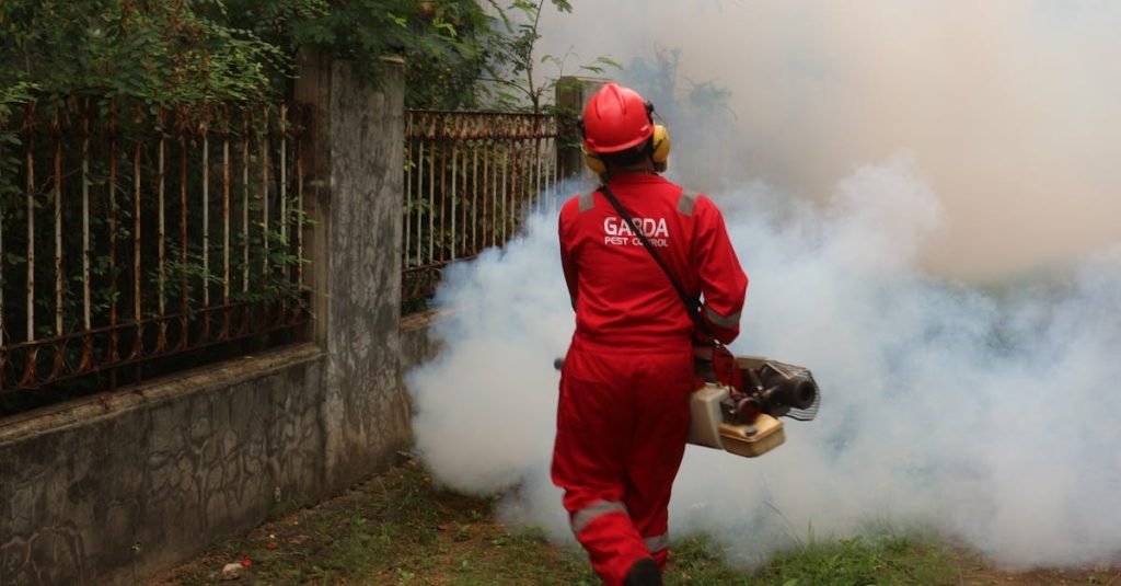 Smoke Alarm Certificate Norman Park