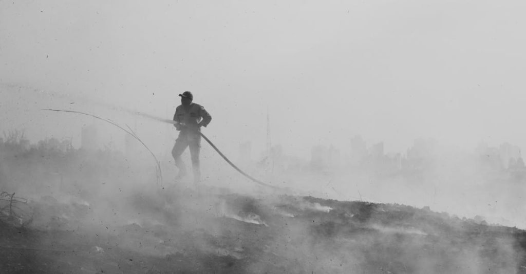 Smoke Alarm Certificate Spring Creek