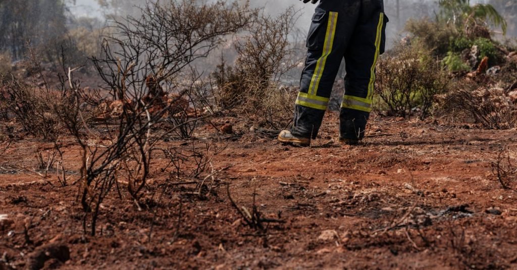 Smoke Alarm Certificate Tamrookum