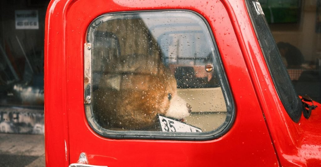 Smoke Alarm Certificate Woodend