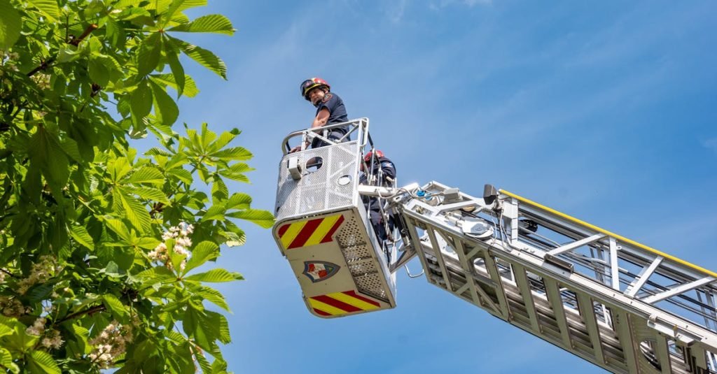 Smoke Alarm Certificate Yandina